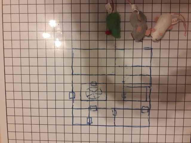 Session Map